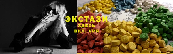 индика Богородицк