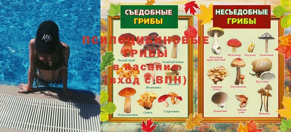 мдма Белокуриха