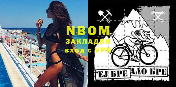 индика Богородицк