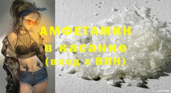 спиды Ельня