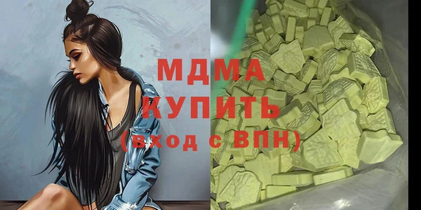 индика Богородицк