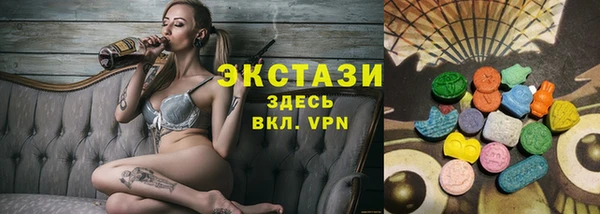 индика Богородицк