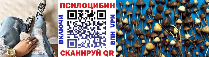где купить наркоту  KRAKEN вход  Псилоцибиновые грибы MAGIC MUSHROOMS  Бор 